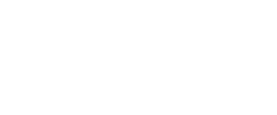 BetterLifePartners — Strategy | Real Estate | Rightsizing